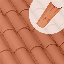 Tuiles Tuile Canal 50/21 à Talon TEJAS BORJA - Rouge