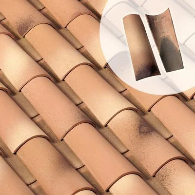 Monier Tuiles Tuile Canal Midi En Couvert Et/ou Courant - Silvacane Littoral 1 Monier Tuiles Tuile Canal Midi En Couvert Et/ou Courant - Silvacane Littoral