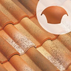 Edilians Tuiles Rencontre Calotte 3 Ouvertures Rondes 935