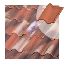 Tuiles Tuile Chatière TB-12 Tejas Borja - Nature Bidasoa - 440MM X 260MM