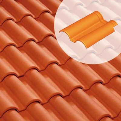 Terreal Tuiles Double Rive + Clip Romane Évolution 1 Terreal Tuiles Double Rive + Clip Romane Évolution