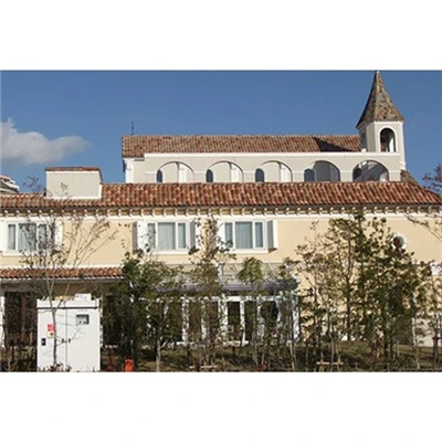 Tuiles Tuile Oméga 10 Terre Cuite à Double Emboîtement Réf.104 EDILIANS - Vieux Toit 1 Tuiles Tuile Oméga 10 Terre Cuite à Double Emboîtement Réf.104 EDILIANS - Vieux Toit