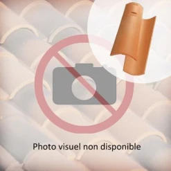 Edilians Tuiles Tuile Canal Gironde à Tenon