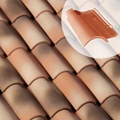 Monier Tuiles Tuile Chatière GALLÉANE 12 (GT111)