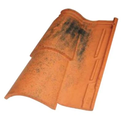 Terreal Tuiles Tuile Latitude 12 2 Terreal Tuiles Tuile Latitude 12 – Image 2