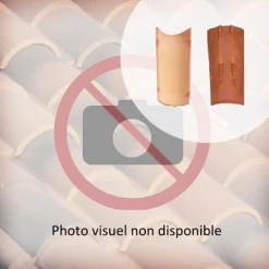 Biobric Tuiles Tuile Canal Terre Cuite Tradi'fix Tegula 46 - Vieilli