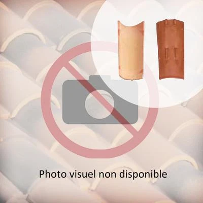 Biobric Tuiles Tuile Canal Terre Cuite Tradi'fix Tegula 46 - Vieilli 1 Biobric Tuiles Tuile Canal Terre Cuite Tradi'fix Tegula 46 - Vieilli