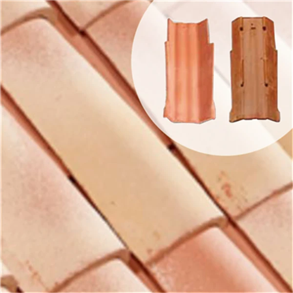 Biobric Tuiles Tuile De Rive Fond Plat Charentes - Corail 1 Biobric Tuiles Tuile De Rive Fond Plat Charentes - Corail